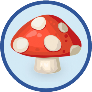 Ronda de Haditas Grupo de Scouts y Guías Ramón Ocando Pérez