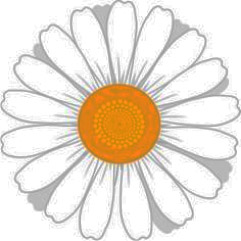 Ronda Margaritas Grupo de Scouts y Guías Ramón Ocando Pérez